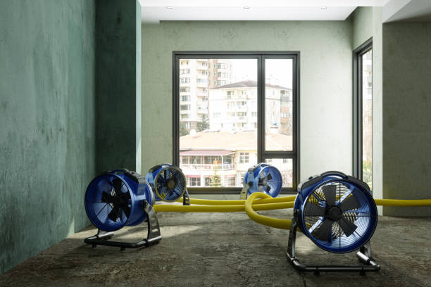 Best Water damage restoration near me  in Riverdale, NJ