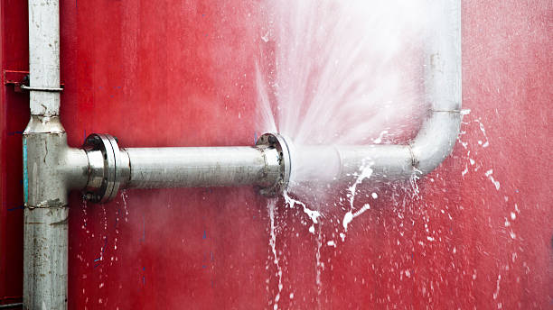 Best Water damage cleanup near me  in Riverdale, NJ